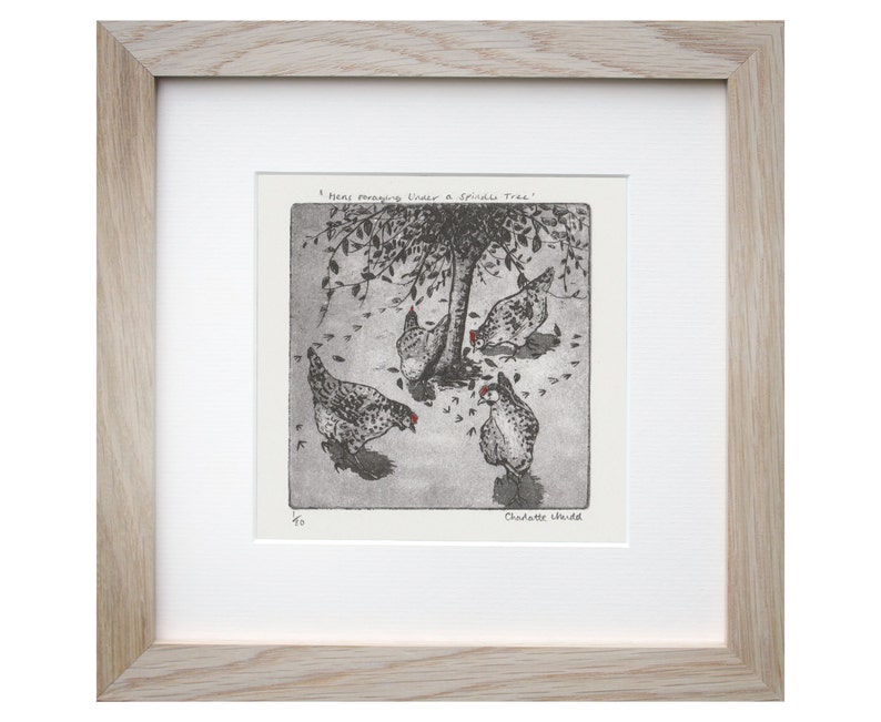 Hen Etching 'Hens Foraging Under A Spindle Tree' Hen Illustration Charlotte Mudd Muddillustration image 1