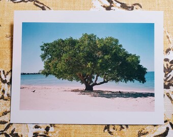 Sanibel Island Film Photo Postcard: Florida Beach Souvenir