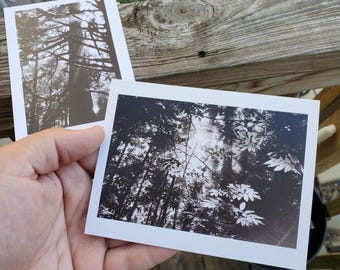 Ecola State Park Postcard set of 2 | Film photography | 35mm film print