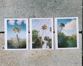 Cool Guys Club Postcard set of 3 | Nature Print | Mayakka State Park | Film photography | 35mm film print