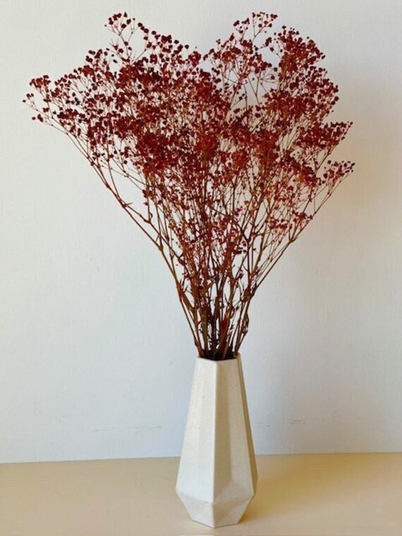 Burgundy Gypsohila Preserved/gypsophila Preserved Bordeaux - Etsy