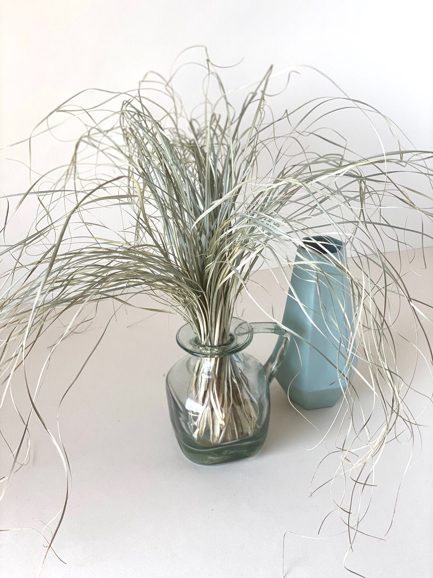 Bear Herb/Herbe d'ours