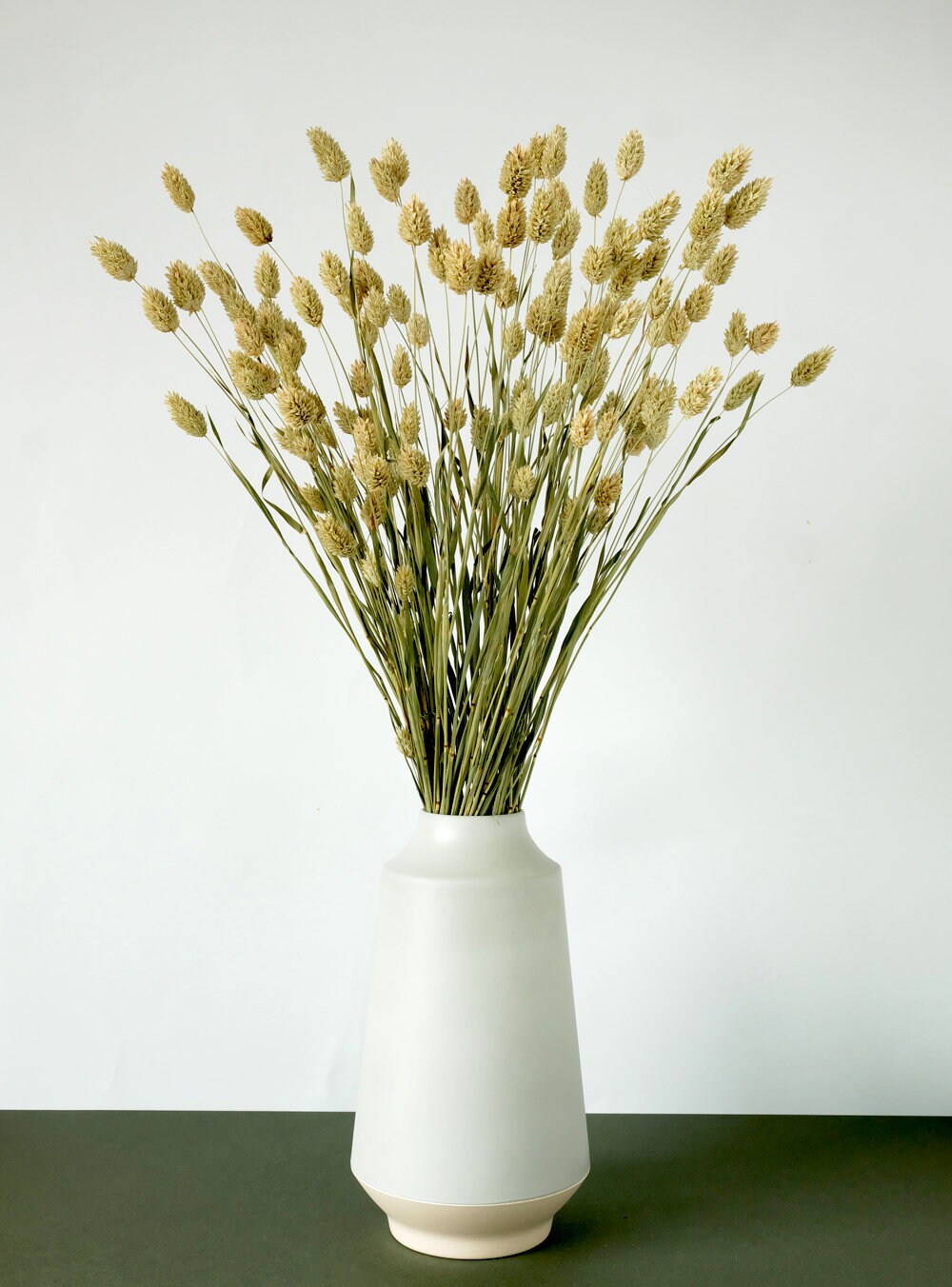 Natural Phalaris/Phalaris Naturel