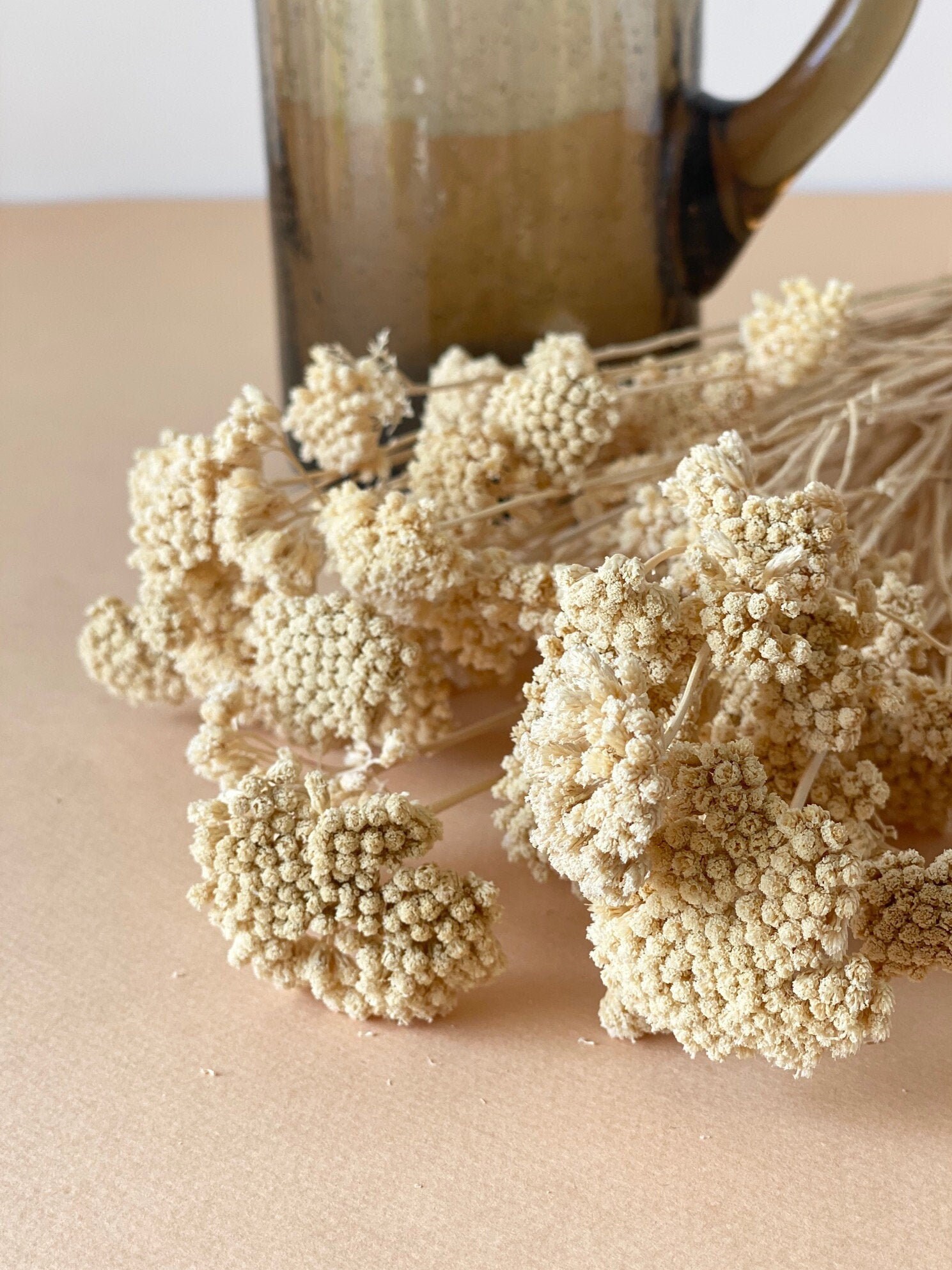 Ecru Yarrows/Achillées Ecru