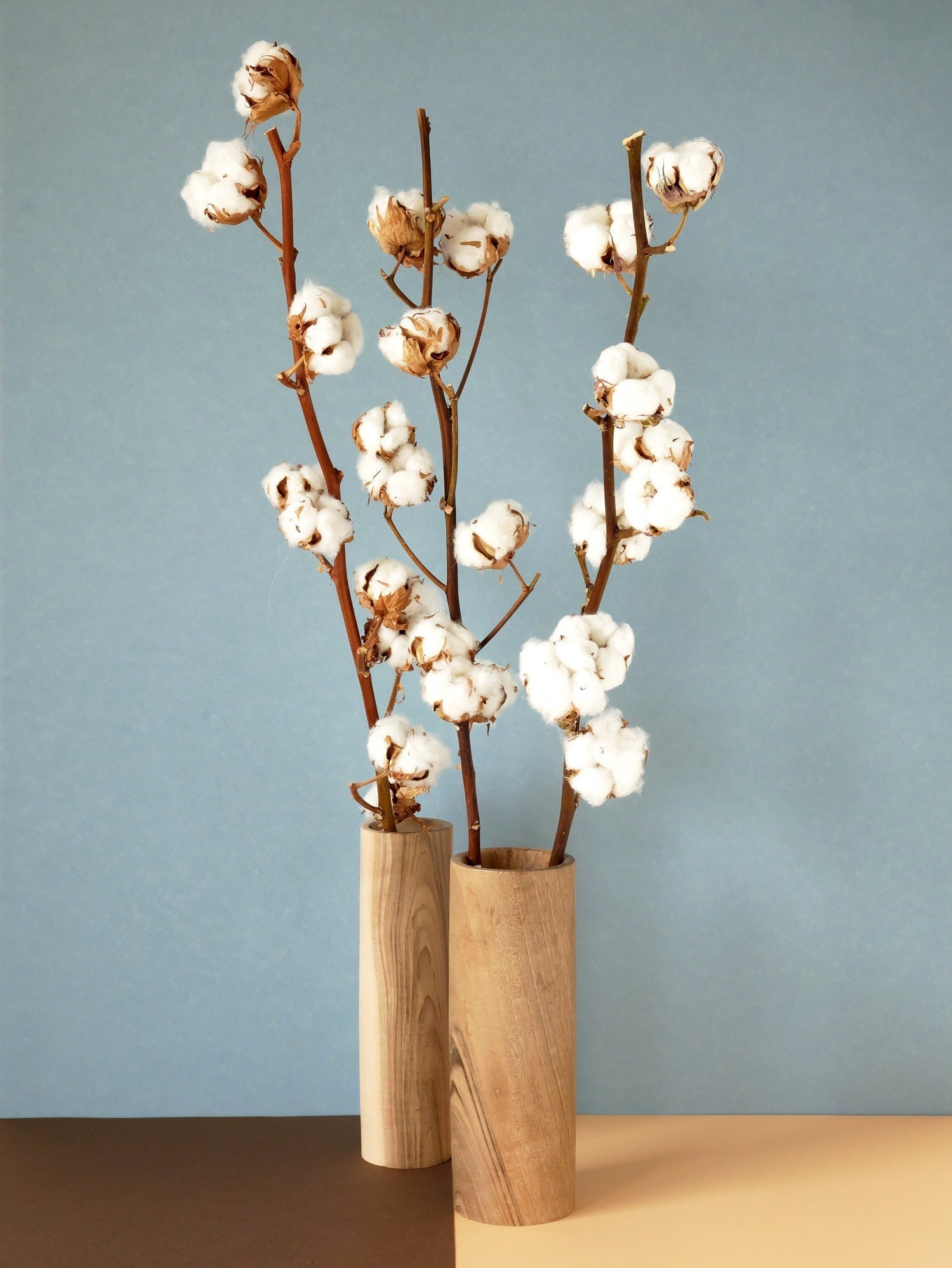 White Cotton Flower Stem/Tige de Fleurs Coton Blanc