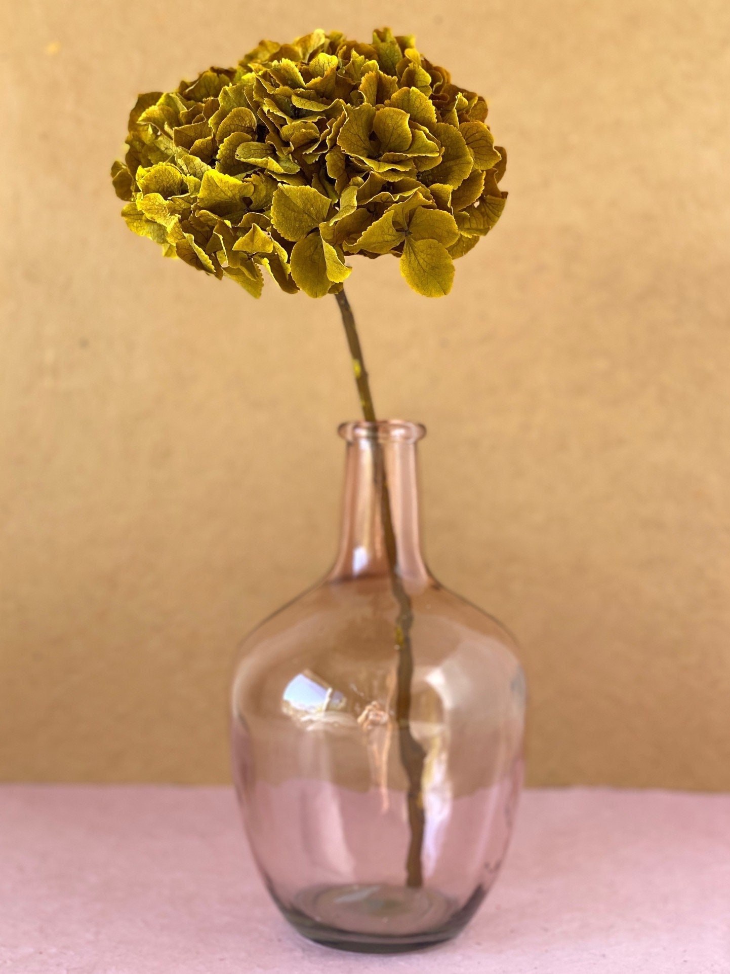 Mustard Hydrangea Preserved/Hortensia Préservé Moutarde