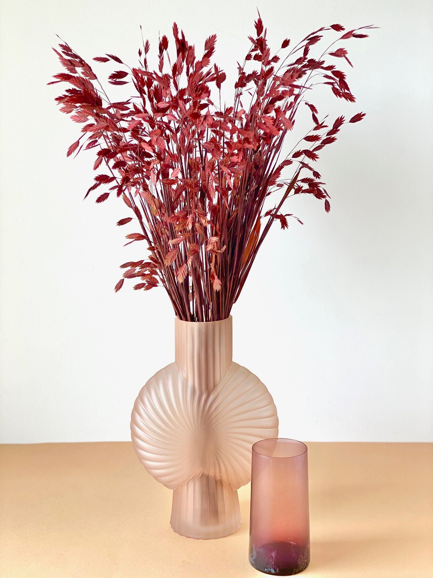 Garnet Flat Ears Chasmanthium/Chasmanthium Epis Plats Grenat