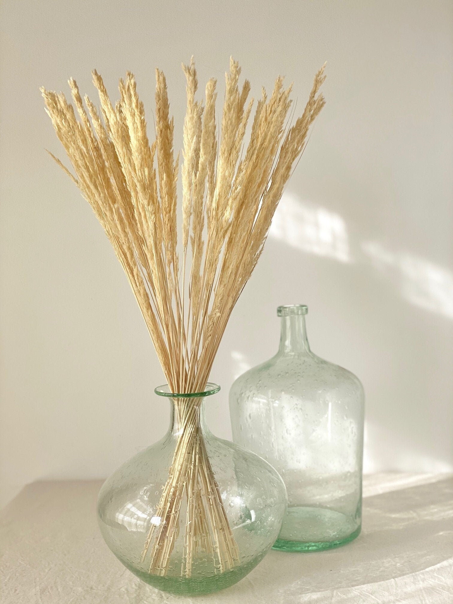 Long Light Yellow Grasses/Longues Graminées Jaune Clair