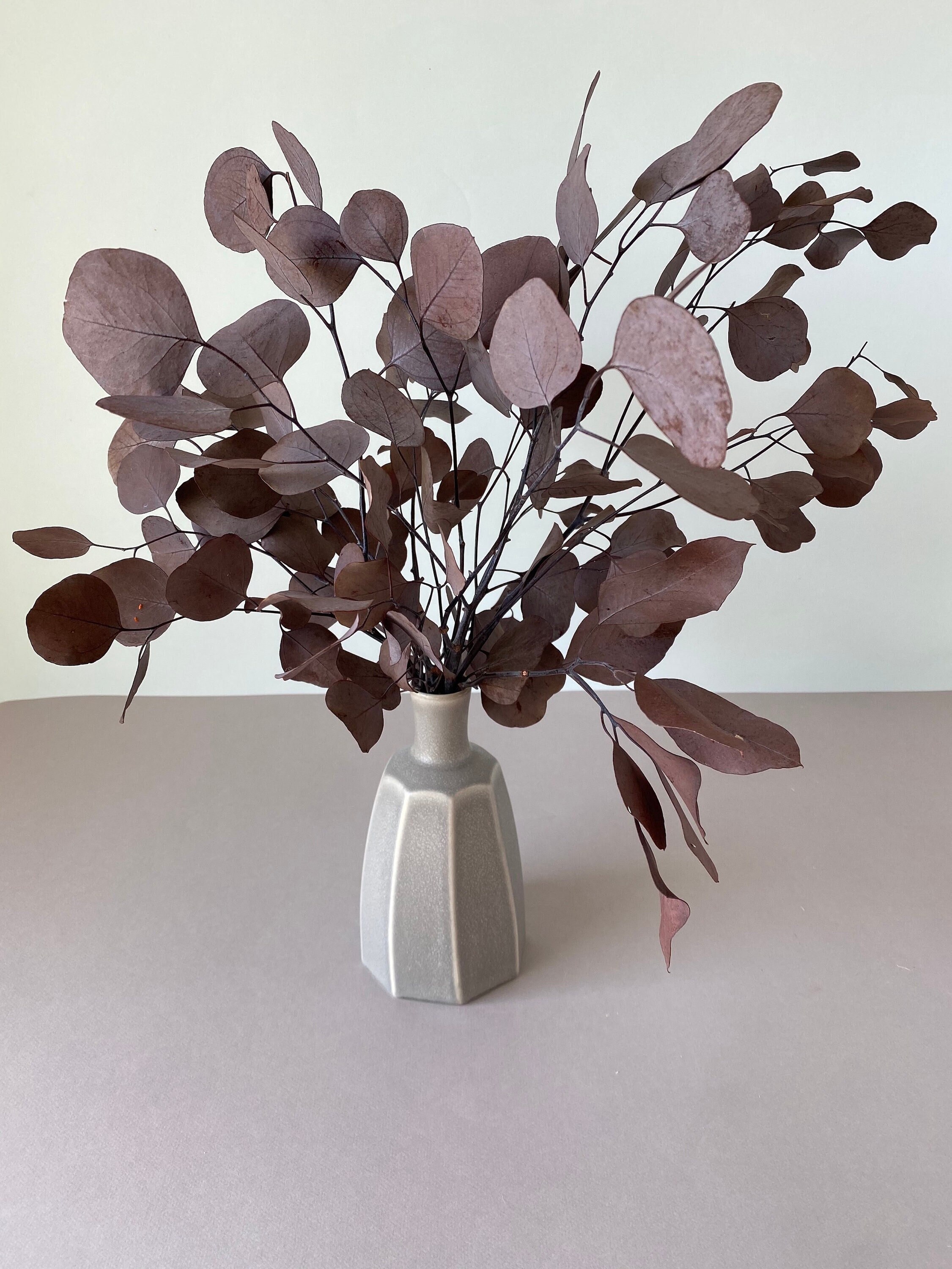 Burgundy Eucalyptus Populis Stabilised/Eucalyptus Stabilisé Bordeaux