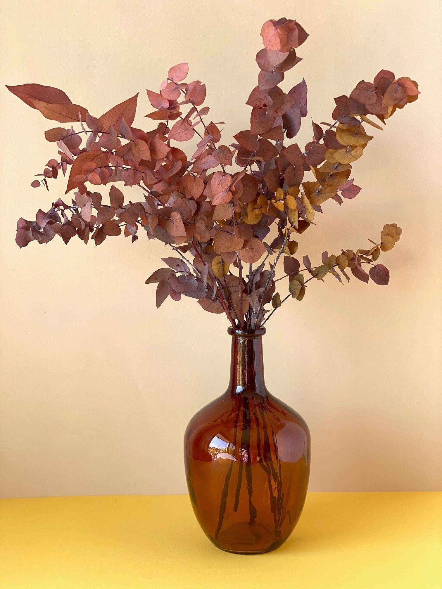 Terracotta Eucalyptus Populis Preserved/Eucalyptus Préservé Couleur Terracotta