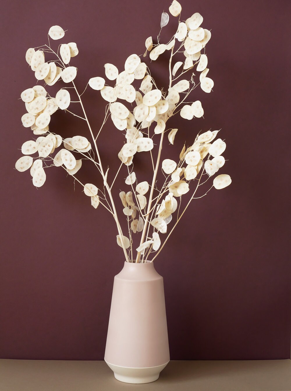 White Pope's Coins/Monnaies Du Pape Blanches