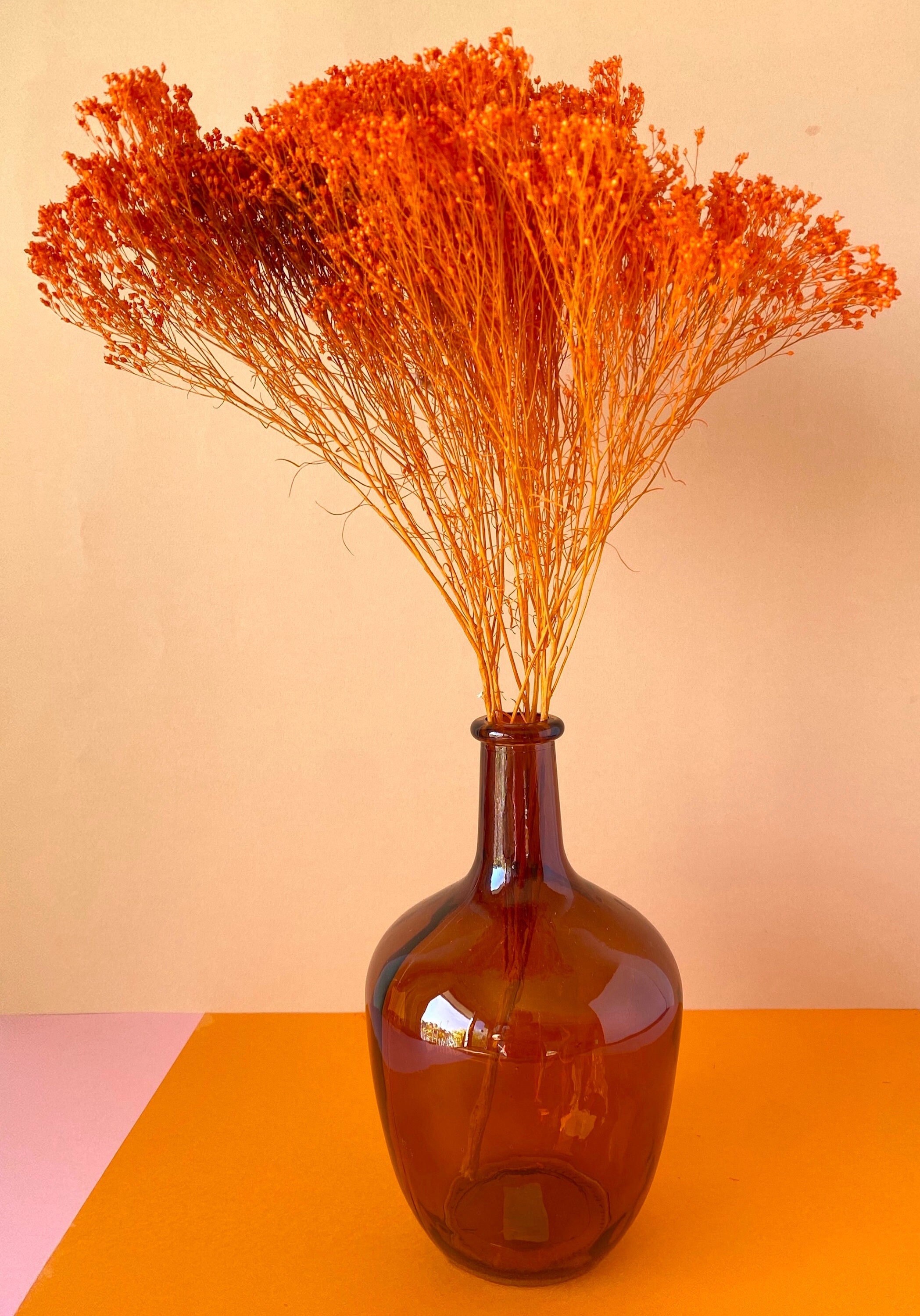 Bright Orange Broom/Broom Vif