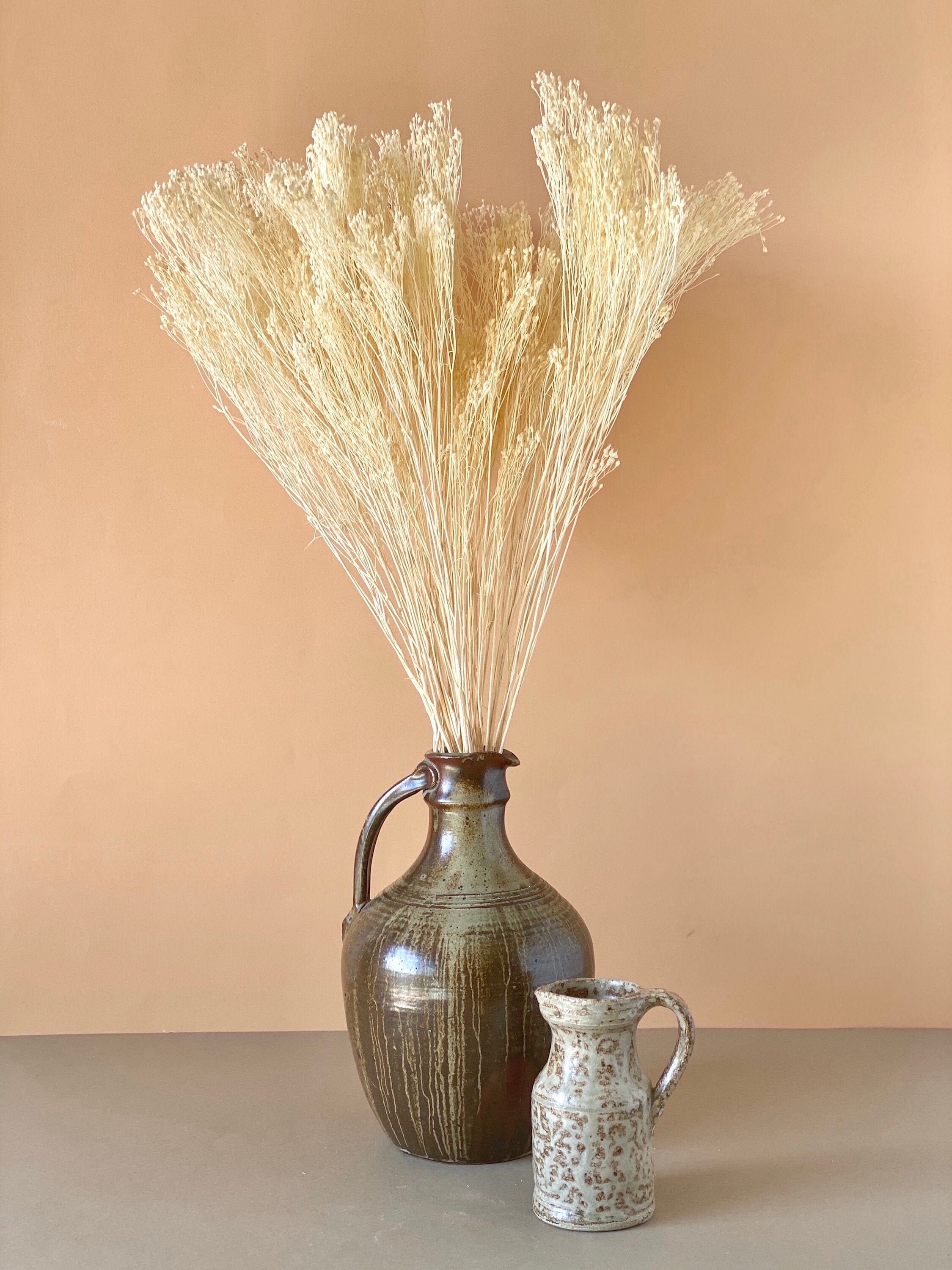 Ecru Broom/Broom Ecru