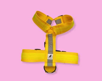 Two D-rings adjustable Y-harness with Velcro strips | 2" wide webbing and reflective tape