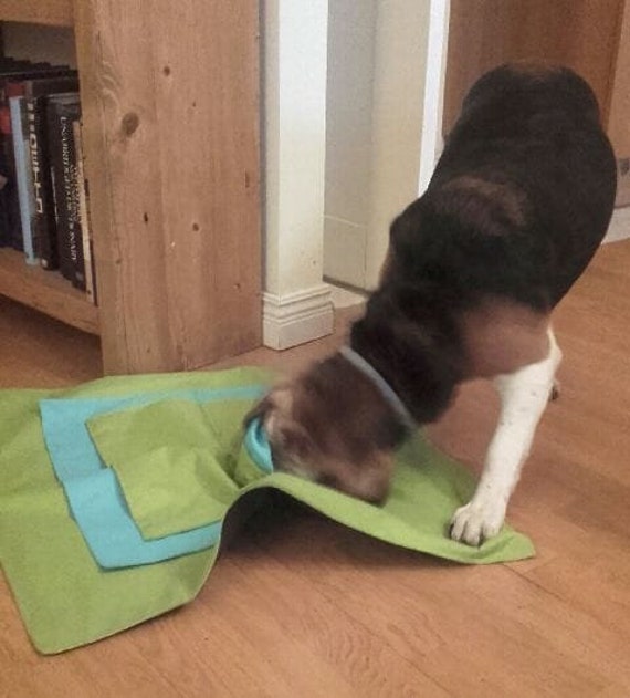 busy mat for dogs