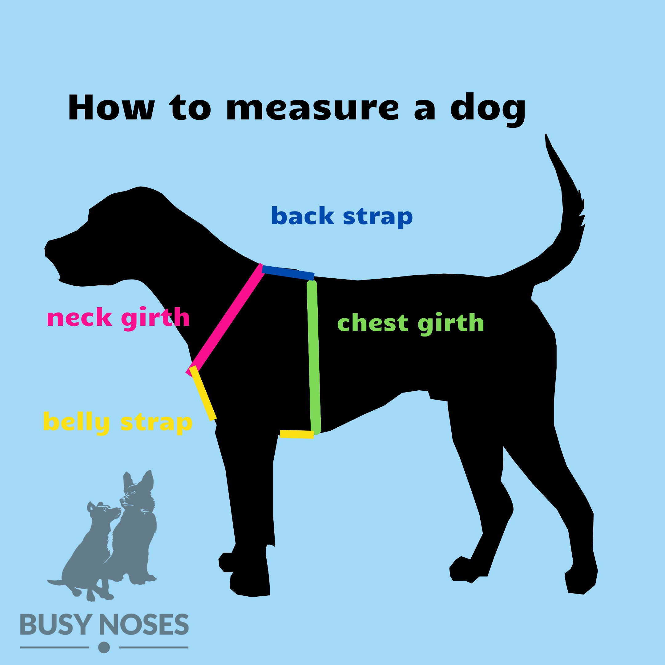 Can I Wash A Dog Harness