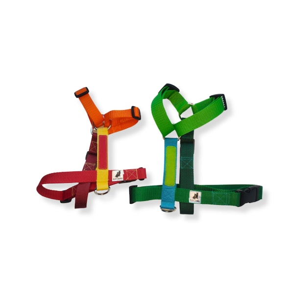 Colorful adjustable Y-harness | personalized dog accessory | safe and easy to wash