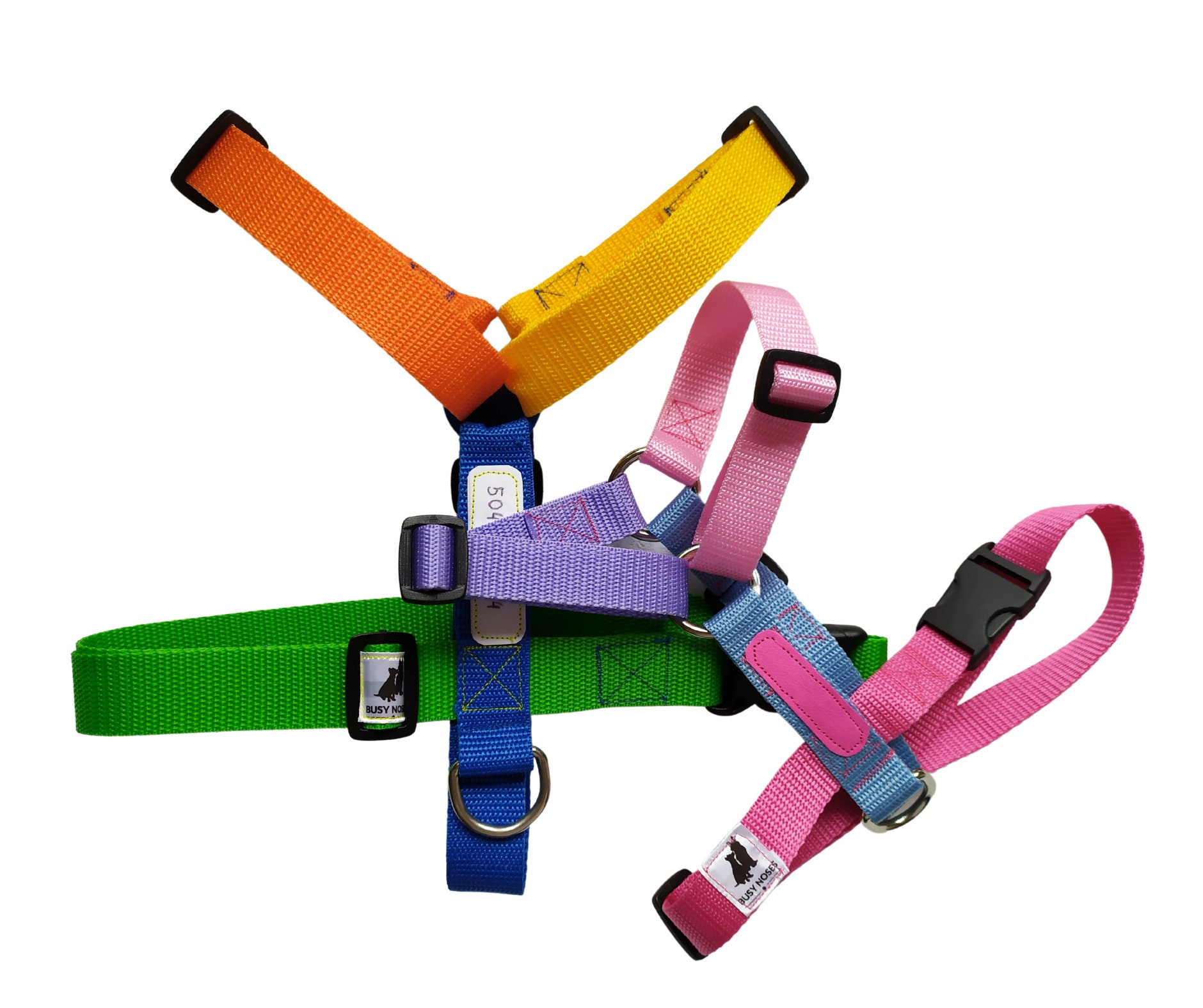 Can I Wash Dog Harness