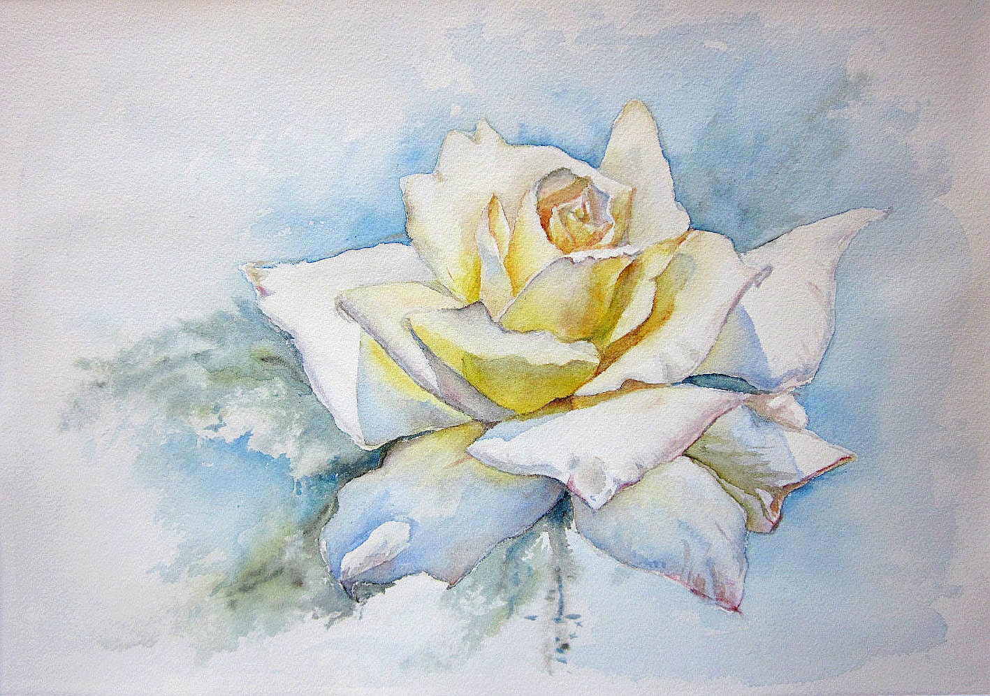 Des mères Rose blanche peinture aquarelle fleur peinture - Etsy France