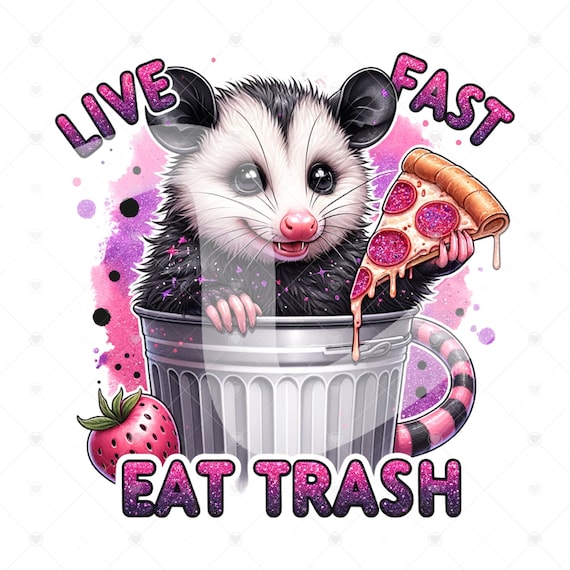 Live Fast Eat Trash PNG, Funny Opossum Clipart, Stay Trashy Png, Trash Panda PNG, Sarcastic Png, Sublimation Design, Funny Tshirt Design