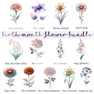 Geboortemaand bloemen clipart, antieke bloemen PNG bundel, DIY geboortemaand bloemenprint Creator Kit, bloem grafisch, botanische clipart