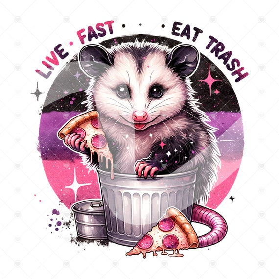 Live Fast Eat Trash PNG, Funny Opossum Clipart, Stay Trashy Png, Trash Panda PNG, Sarcastic Png, Sublimation Design, Funny Tshirt Design
