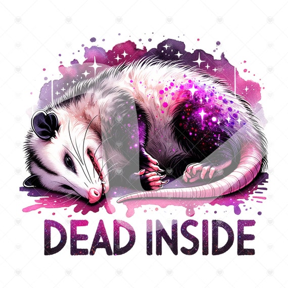 Opossum Dead Inside PNG, Funny Opossum Clipart, Stay Trashy Png, Trash Panda PNG, Sarcastic Png, Sublimation Design, Funny Tshirt Design