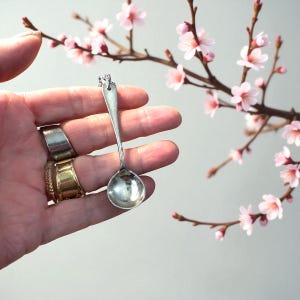 May include: A small, silver spoon with a decorative top is held in a hand. The spoon has a rounded bowl and a long, slender handle. The background features a branch with pink blossoms, suggesting a spring theme.