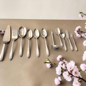 Puede incluir: Una colección de diez utensilios de acero inoxidable en tono plateado dispuestos en fila, que incluye un servidor de pasteles, un tenedor, varias cucharas de diferentes tamaños, una cuchara ranurada, un cucharón pequeño, un cuchillo de mantequilla y un tenedor pequeño.