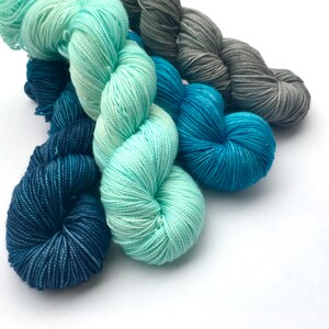 4 Skein Kit.Hand Geverfd Garen. Merino. Sok gewicht. Gigi Bonin