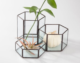 Glass Hexagon Terrariums - Modular Table Top Decor - Geometric Planter