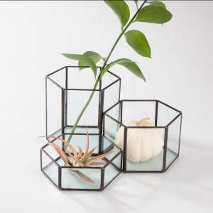 Glass Hexagon Terrariums Modular Table Top Decor Geometric Planter image 1