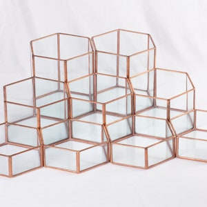 Glass Hexagon Terrariums Modular Table Top Decor Geometric Planter image 5