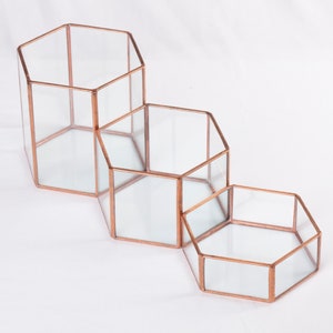 Glass Hexagon Terrariums Modular Table Top Decor Geometric Planter image 4