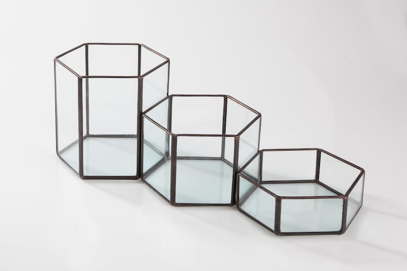 Glass Hexagon Terrariums Modular Table Top Decor Geometric Planter image 2