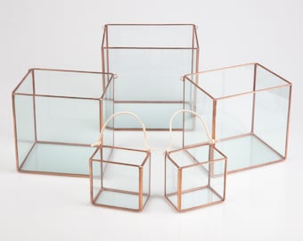 Glass Box Terrariums - Wall Hanging Decor - Geometric Planter