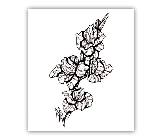 Gladiolus Modern Floral Flower Wall Art Pen And Ink Flowers Etsy