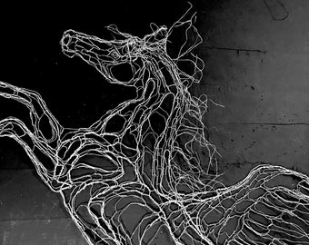 Silver Pegasus, 2D Wire Sculpture, 78"  Wall Art Flying Horse by Elizabeth Berrien