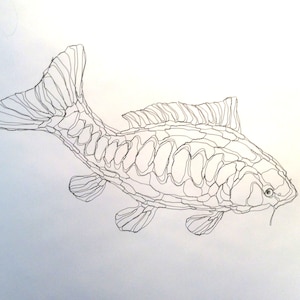 Wire Sculpture 2D Koi Carp (Pond Fish): Wire Wall Art by Elizabeth Berrien, internationally acclaimed wire sculp