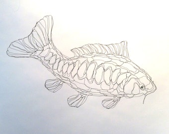 Wire Sculpture 2D Koi Carp (Pond Fish): Wire Wall Art by Elizabeth Berrien, internationally acclaimed wire sculp