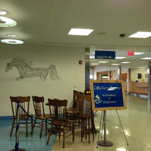 Wire Sculpture Cloud Mare: 72in Arabian Horse Wall Art by Elizabeth Berrien, internationally acclaimed wire sculptor image 4