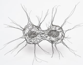 Cellular Division (Mitosis) 3D Abstract Wire Scupture by Elizabeth Berrien