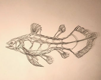 Coelacanth Wire Sculpture Wall Art 27" by renowned artist Elizabeth Berrien