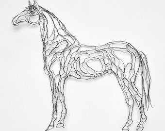 2D Custom/Bespoke Wire Wall Art Horse, 18" x 24" by Elizabeth Berrien