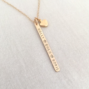 Personalised Paw Print Necklace, In Memory of Dog Gift, Gift for Cat Owner, Pet Name Jewelry, Dog Loss Keepsake, Loss of Cat, Bar Necklace