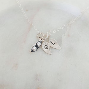 May include: A silver necklace with a pea pod charm and two leaf charms with the letters "G" and "L" engraved on them.