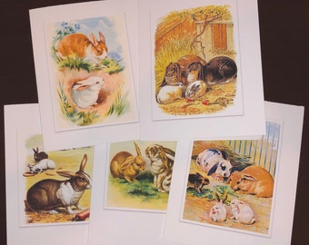 Colorful Bunny Rabbit Vintage Drawings Note Cards Greeting Cards Boxed Set of 5