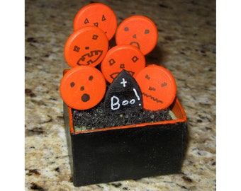 Halloween Graveyard Jack-o-Lantern Assemblage Scene Box
