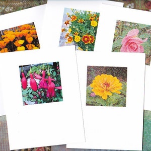 Garden Flowers Note Cards Original Photos Boxed Set of 5