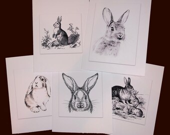 Bunny Rabbit Note Cards Greeting Cards Vintage B&W Sketches Boxed Set of 5